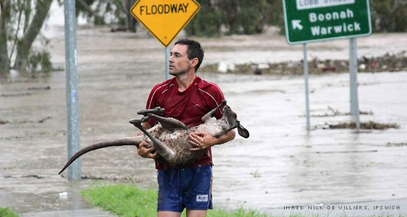 2010–11 Queensland floods photograph 2 of 20: documentary scene