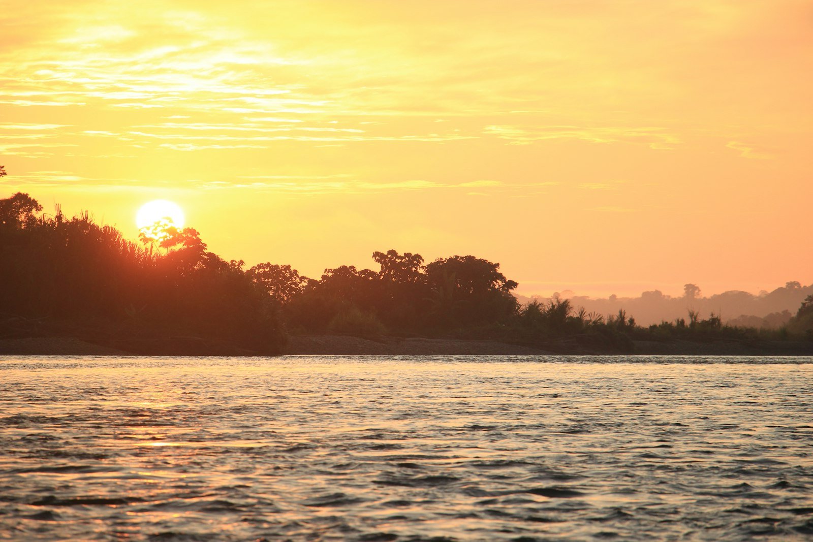Wide Amazon river winding through dense green forest